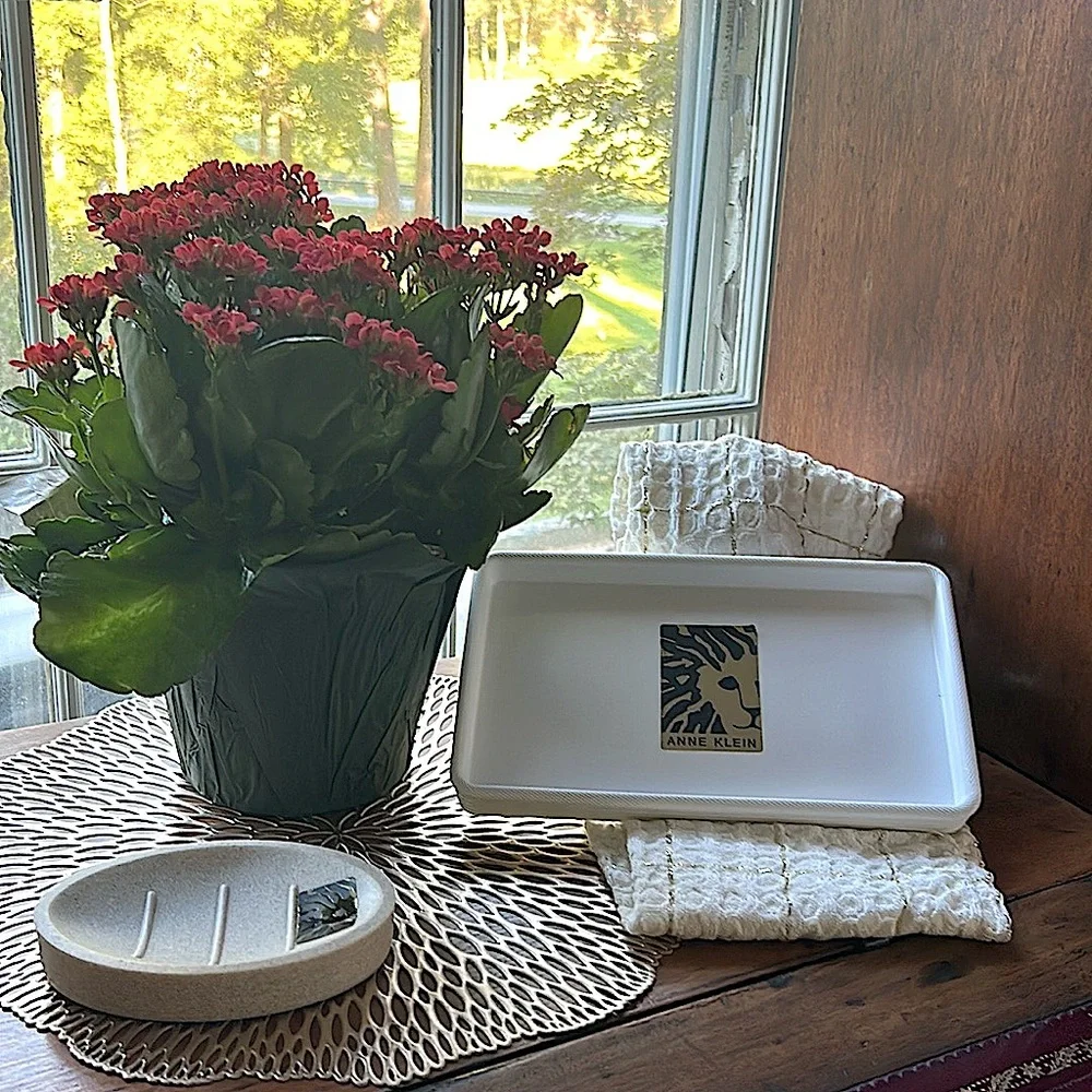 Anne Klein Textured Beige White Soap Dish NEW